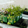 10" x 20" Seedling Heat Mat for Seed Germination