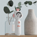 Portable USB Rechargeable Nano Mist Sprayer for Face