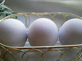 3 bath bombs 5 oz each (Lavender) individually wrapped, bath fizzies, great for dry skin